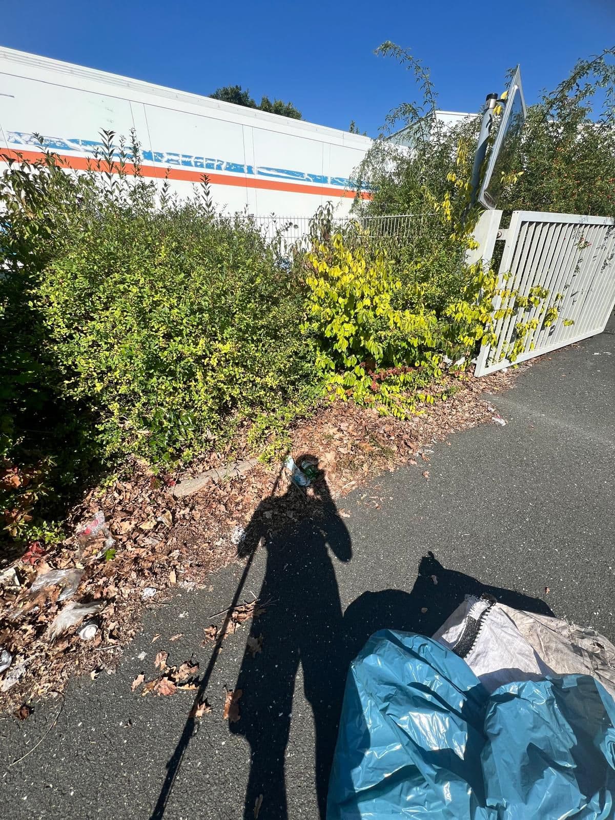 Reinigung Gehweg und Eingang