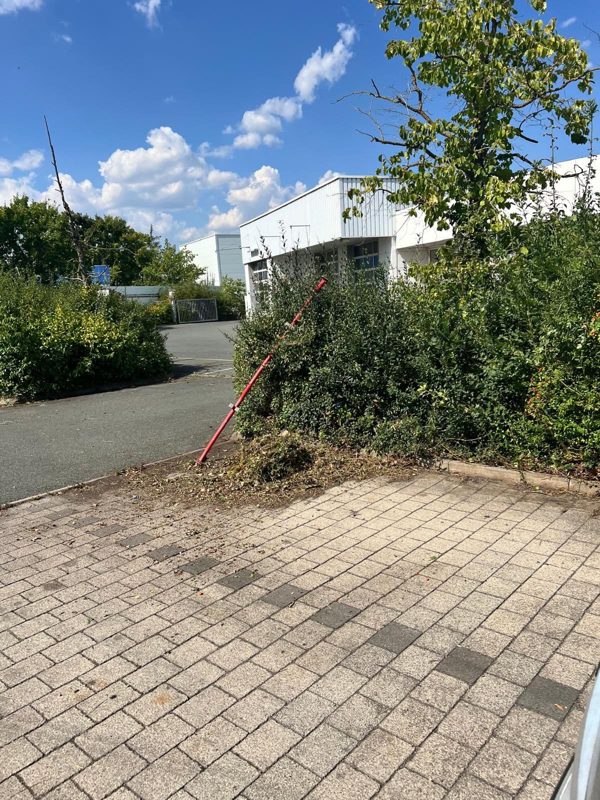 Gewerbeobjekt Außenpflege