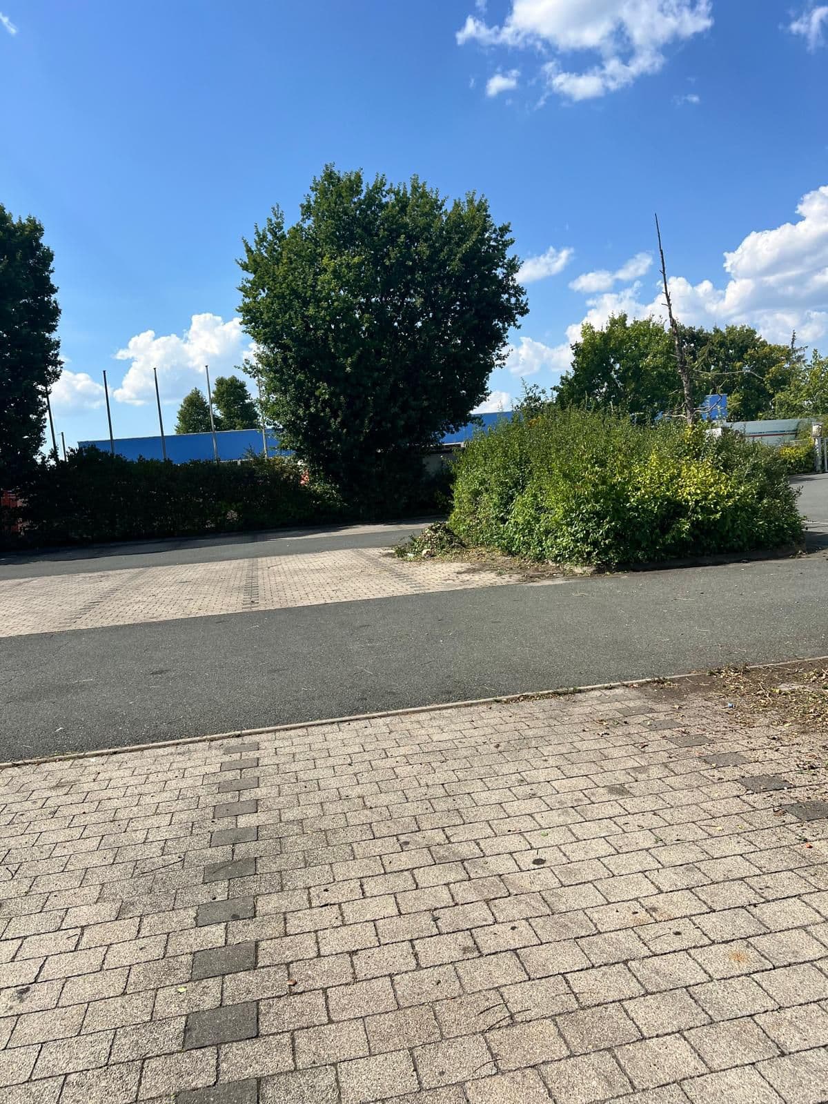 Außenanlage in Pflege