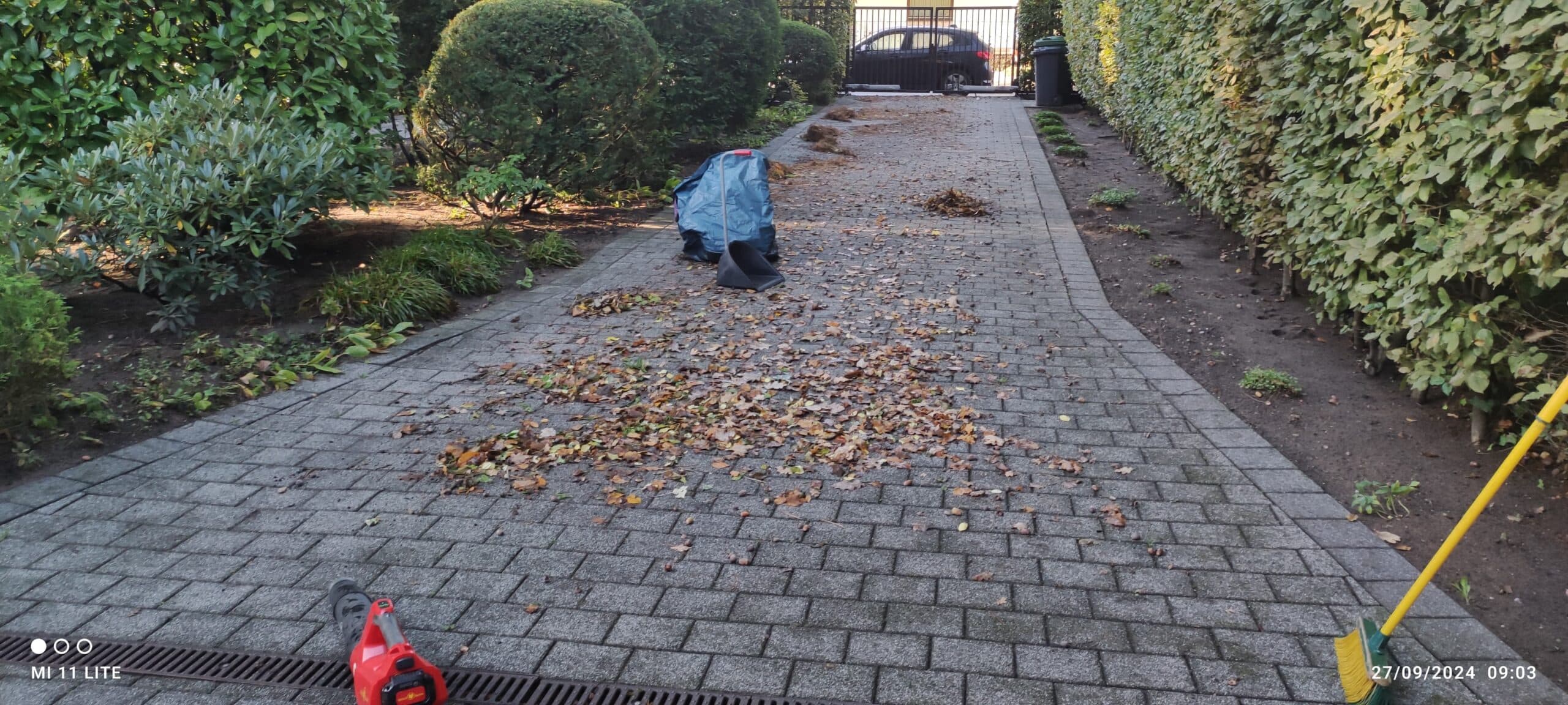 Laubentfernung vom Gehweg