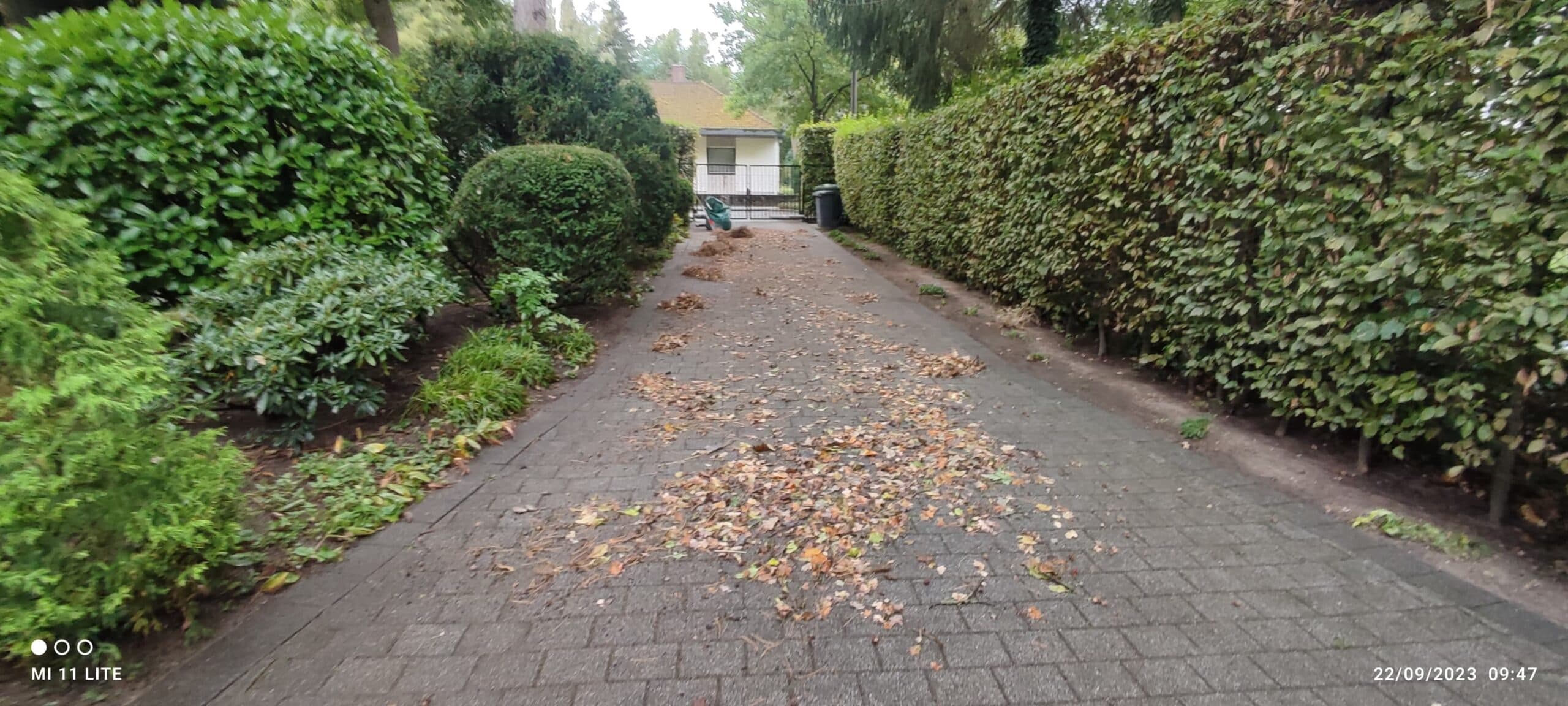 Außenbereich nach der Reinigung