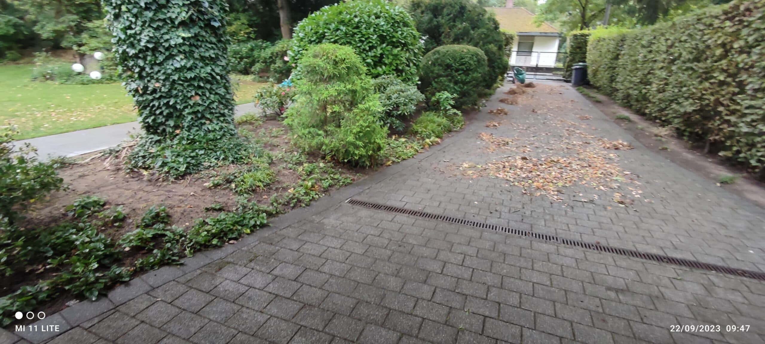 Gartenpflege im Herbst